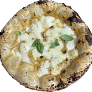 Pizza mit Gelber Datteltomatensauce, Pecorino & Mozzarella "Fior di Latte"